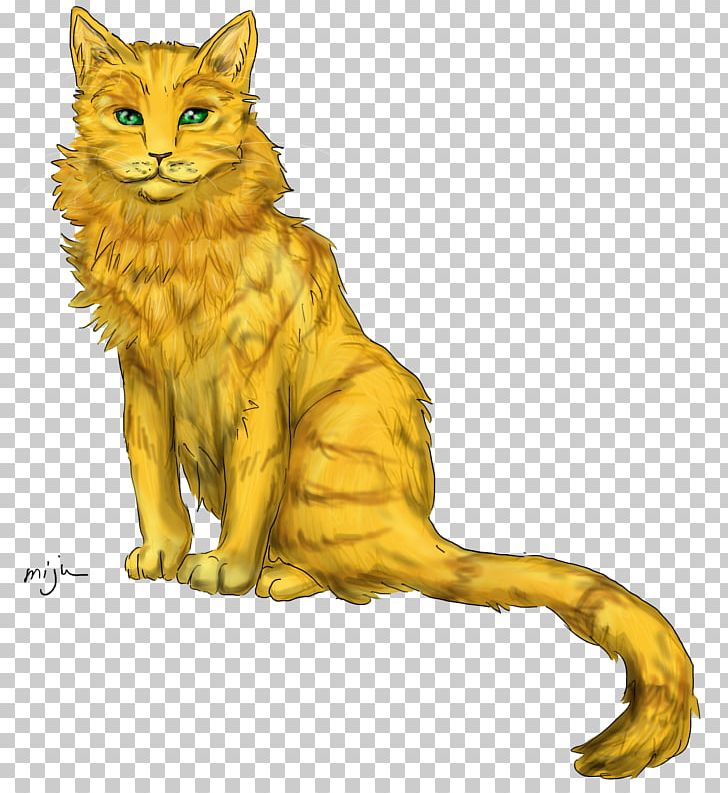 Warriors Cat Into The Wild Night Whispers Erin Hunter PNG, Clipart, Animals, Carnivoran, Cat, Cat Like Mammal, Dog Like Mammal Free PNG Download