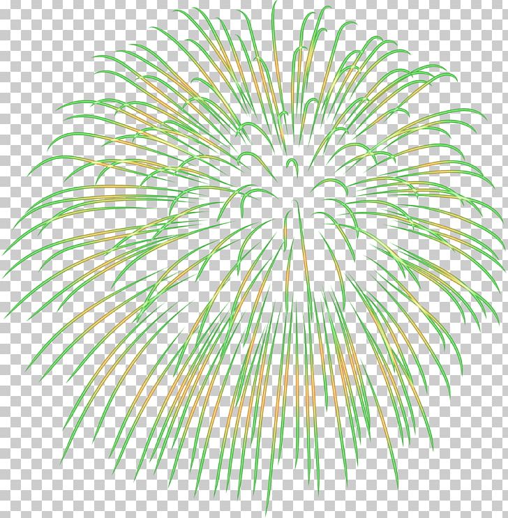 Fireworks PNG, Clipart, Arecales, Blue, Branch, Circle, Color Free PNG Download