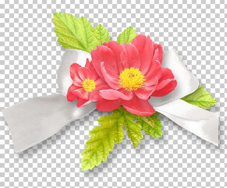 Flower PNG, Clipart, Annual Plant, Blume, Blumen, Computer Icons, Cut Flowers Free PNG Download