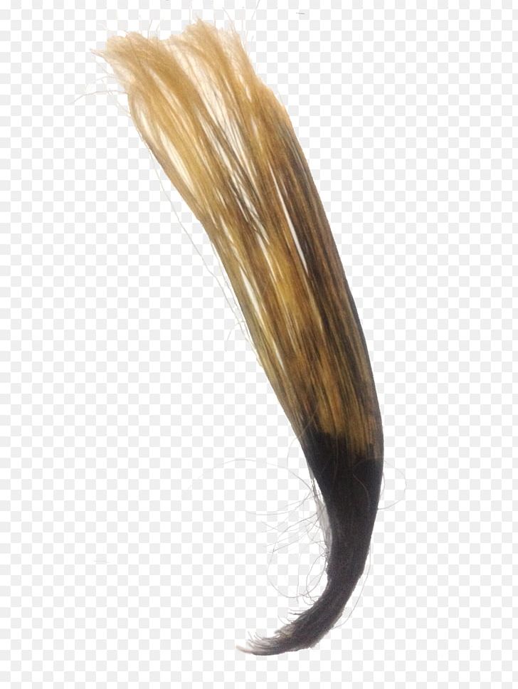 Hair Coloring Eyebrow Blond PNG, Clipart, Afrotextured Hair, Black Hair, Blond, Brown Hair, Desktop Wallpaper Free PNG Download