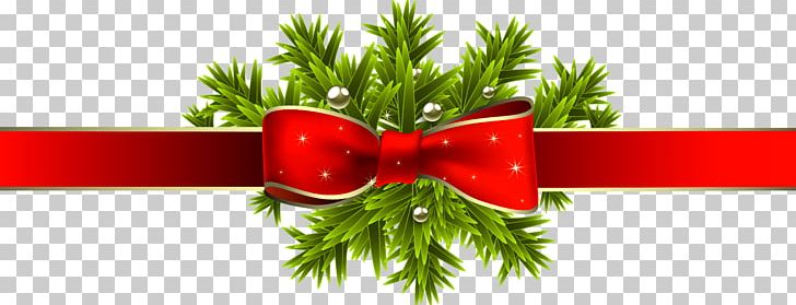 Portable Network Graphics Christmas Day Christmas Decoration Christmas Tree PNG, Clipart, Christmas, Christmas Day, Christmas Decoration, Christmas Ornament, Christmas Tree Free PNG Download