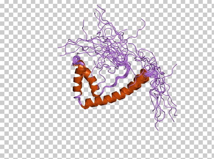 TOX3 High-mobility Group Protein Art PNG, Clipart, Art, Domain, Highmobility Group, Hmg, Organism Free PNG Download