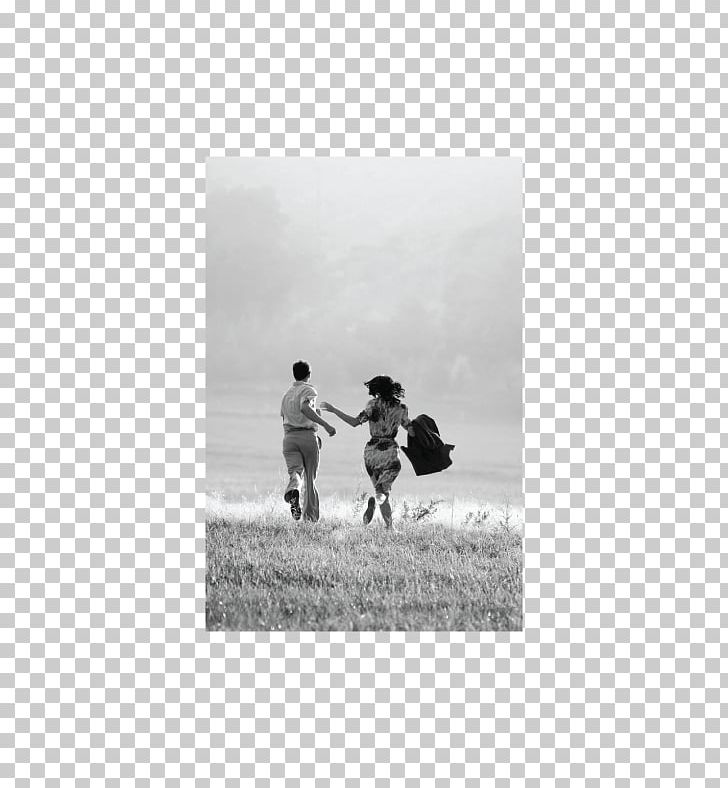 Love Photography Friendship Painting PNG, Clipart, Black And White, Coming Soon, Family, Friendship, Hatred Free PNG Download