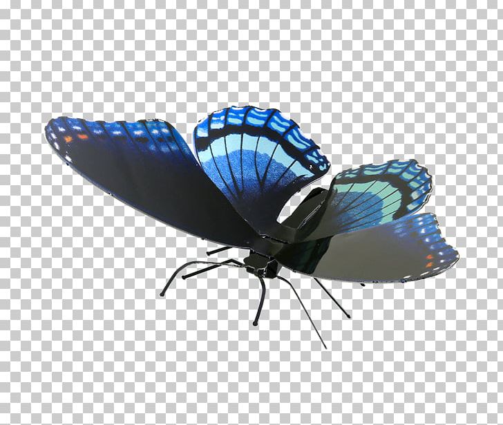 Monarch Butterfly Limenitis Arthemis Battus Philenor Happiness Is As A Butterfly Which PNG, Clipart, Arthropod, Battus Philenor, Butterfly, Eastern Tiger Swallowtail, Insects Free PNG Download