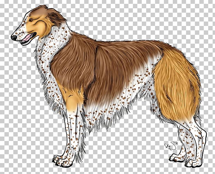 Borzoi Silken Windhound Saluki Longdog Dog Breed PNG, Clipart, Afghan Hound, Borzoi, Breed, Carnivoran, Collie Free PNG Download