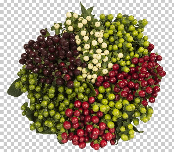 Cranberry Vegetarian Cuisine Natural Foods Vegetable PNG, Clipart, Berries, Berry, Cranberry, Food, Fruit Free PNG Download