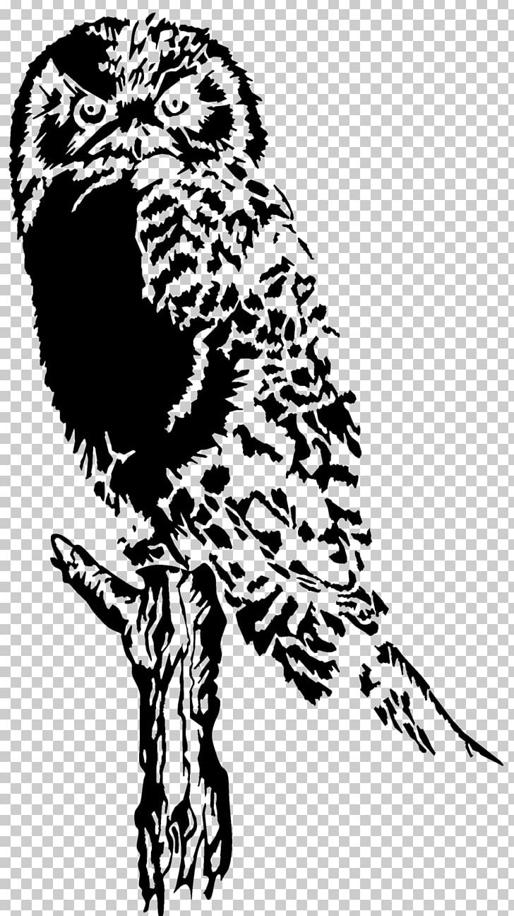 Drawing PNG, Clipart, Animals, Art, Beak, Bird, Bird Of Prey Free PNG Download