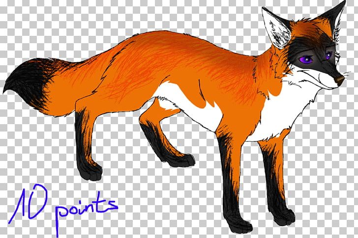 Red Fox Whiskers Fur Fauna Snout PNG, Clipart, Animals, Carnivoran, Character, Dog Like Mammal, Fauna Free PNG Download