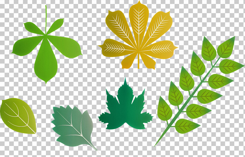 Autumn Leaf Autumn Color PNG, Clipart, Autumn Color, Autumn Leaf, Color, Coloring Book Butterfly, Drawing Free PNG Download
