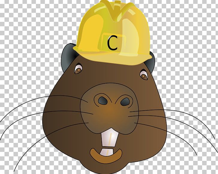 Beaver Hard Hat PNG, Clipart, Beaver, Cap, Carnivoran, Cartoon, Cat Like Mammal Free PNG Download