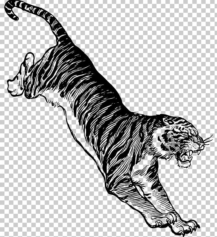 Felidae White Tiger Drawing PNG, Clipart, Animal, Big Cats, Black, Carnivoran, Cat Like Mammal Free PNG Download