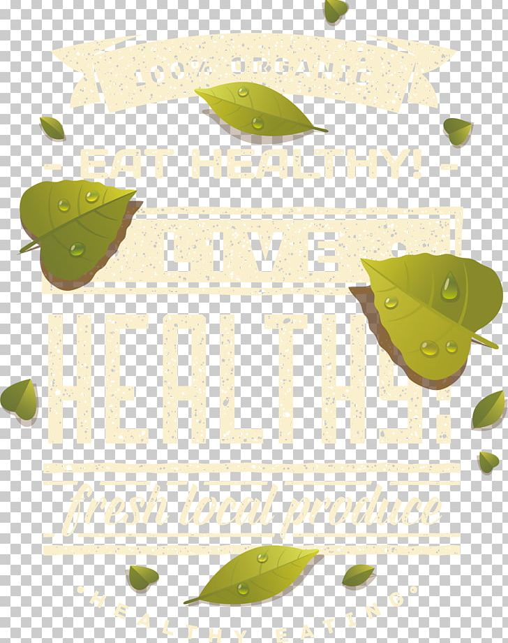 Leaf PNG, Clipart, Border, Design, Diagram, Drawing, Fall Scattered Free PNG Download