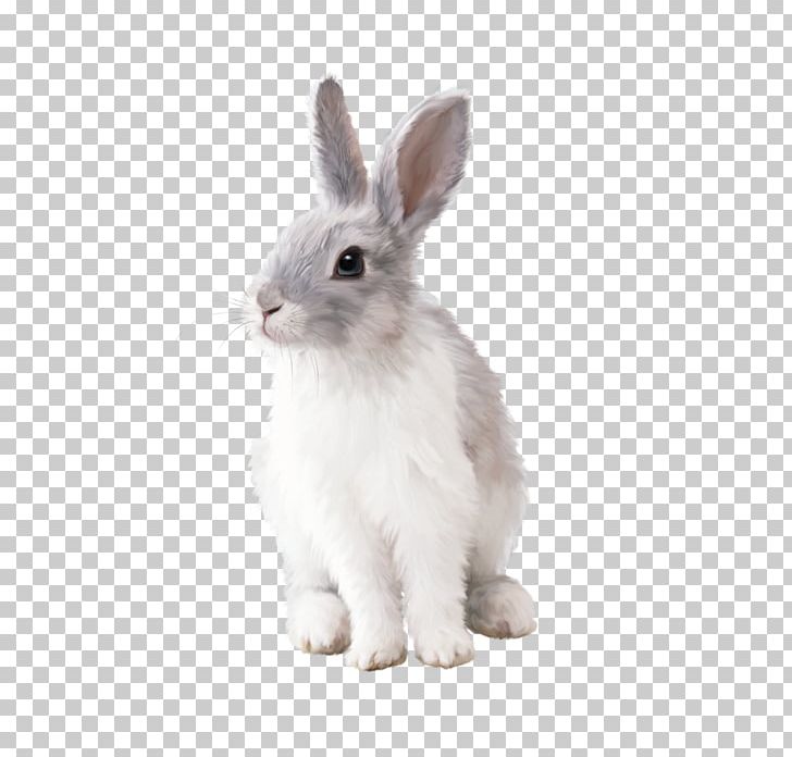 Rabbit Hare PNG, Clipart, Animals, B 94, Domestic Rabbit, Download, Encapsulated Postscript Free PNG Download