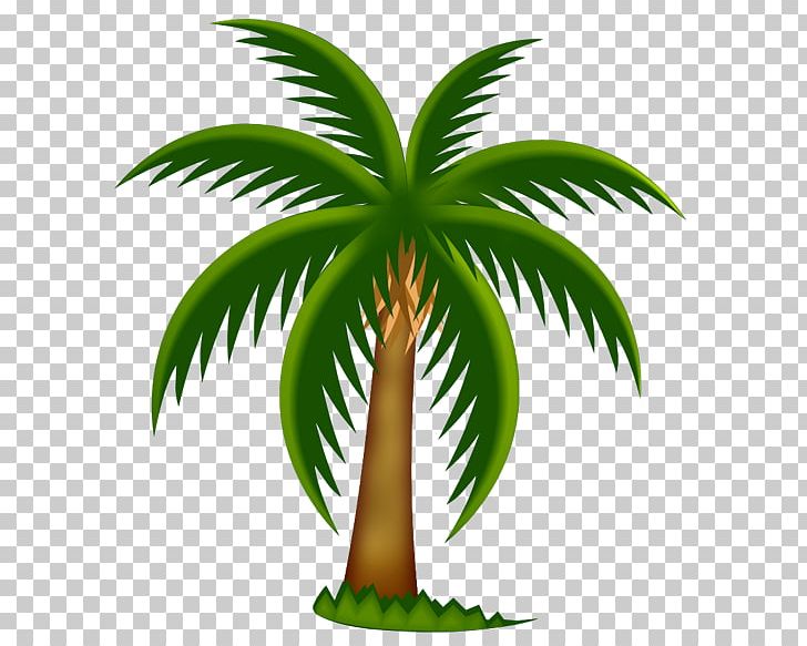 Arecaceae Tree PNG, Clipart, Arecaceae, Arecales, Cartoon, Coconut, Date Palm Free PNG Download