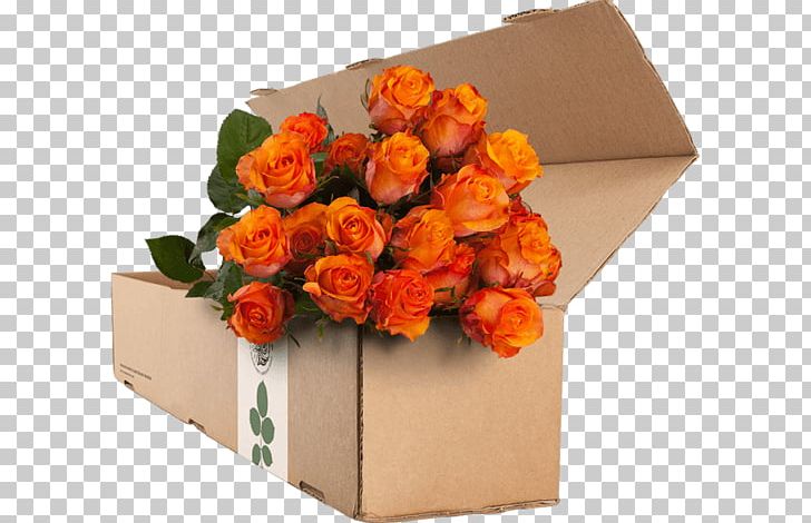 Garden Roses Flower Orange Blue Rose PNG, Clipart, Artificial Flower, Begonia, Black Rose, Blue Rose, Cut Flowers Free PNG Download