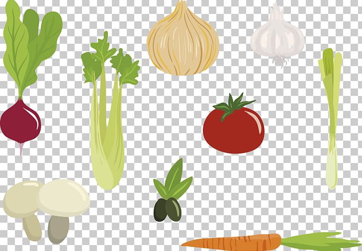 Organic Food Shallot Vegetarian Cuisine Illustration PNG, Clipart, Food, Fruit, Fruits And Vegetables, Garlic, Happy Birthday Vector Images Free PNG Download