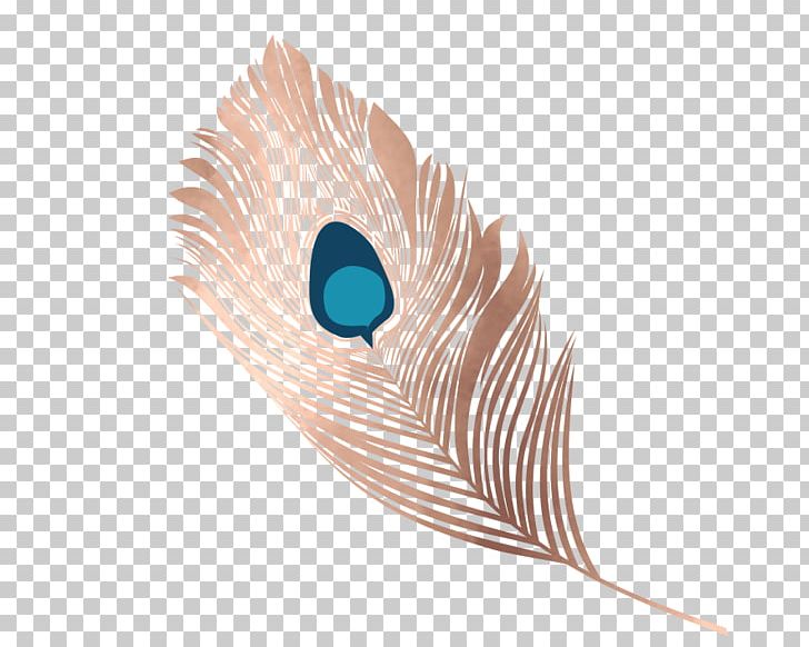 Feather Material Eye PNG, Clipart, Animals, Closeup, Eye, Eyelash, Feather Free PNG Download
