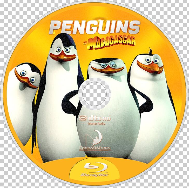 Penguin Flightless Bird Madagascar PNG, Clipart, Animal, Animals, Bird, Bluray Disc, Disk Image Free PNG Download