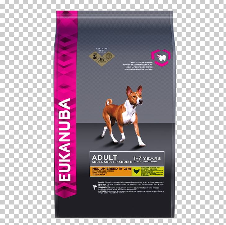 Rough Collie Puppy Eukanuba Dog Food Pet PNG, Clipart, Advertising, Brand, Breed, Chicken As Food, Collie Free PNG Download