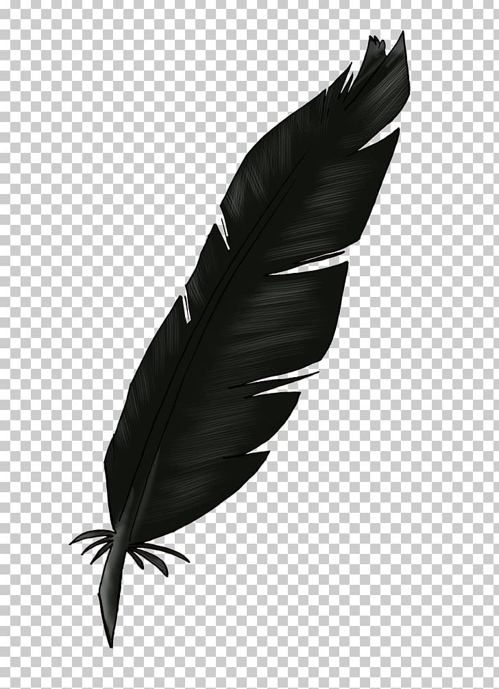 Feather Light PNG, Clipart, Animals, Bird, Black, Black And White, Feather Free PNG Download