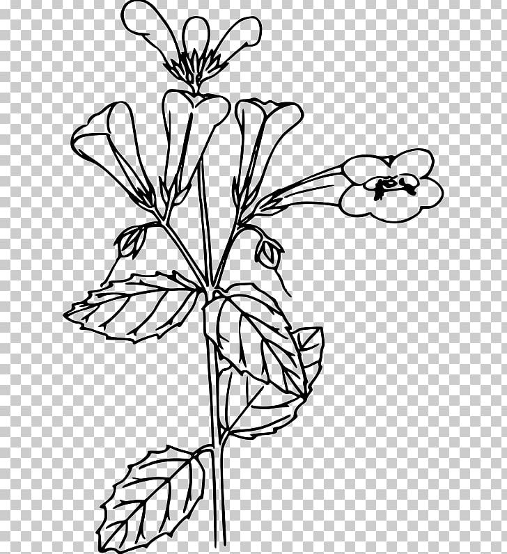 Flower Line Art Coloring Book PNG, Clipart, Art, Black And White, Branch, Coloring Book, Cross Free PNG Download