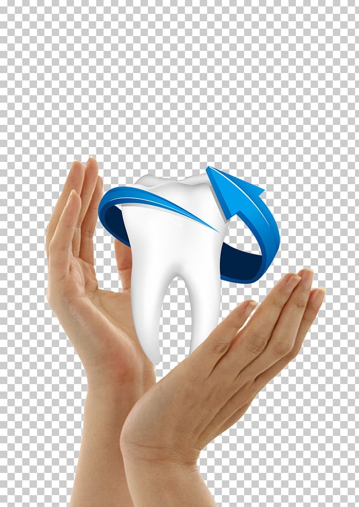 Human Tooth Dentistry PNG, Clipart, Baby Teeth, Deciduous Teeth, Encapsulated Postscript, Environmental Protection, Euclidean Vector Free PNG Download