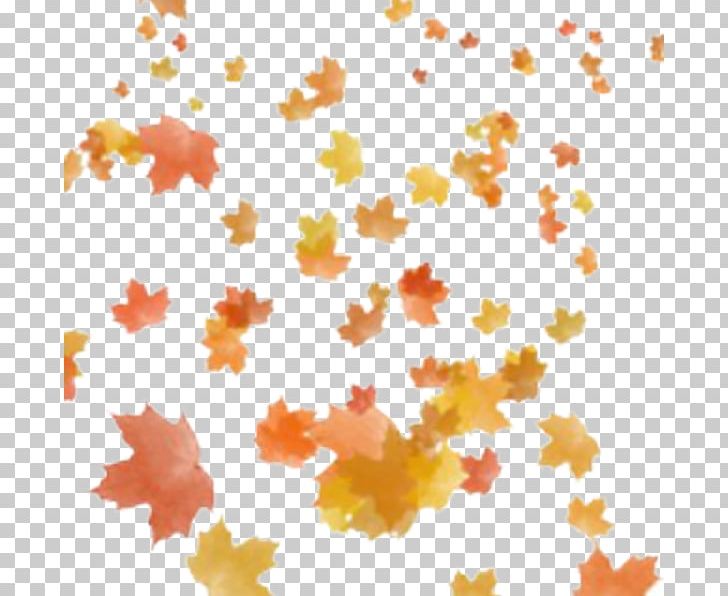 Portable Network Graphics Autumn Leaf Color Autumn Leaf Color PNG, Clipart, Autumn, Autumn Leaf Color, Computer Icons, Deco, Falling Leaves Free PNG Download