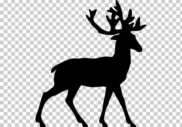 White-tailed Deer Reindeer PNG, Clipart, Animals, Antler, Black And White, Blackdeer, Blacktailed Deer Free PNG Download