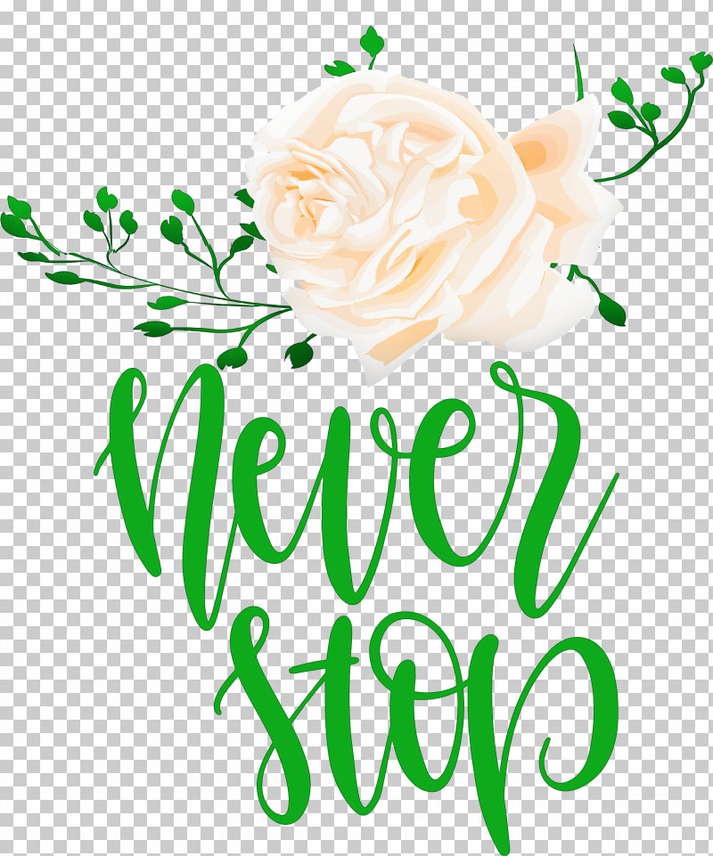 Never Stop Motivational Inspirational PNG, Clipart, Cut Flowers, Floral Design, Flower, Inspirational, Jewellery Free PNG Download