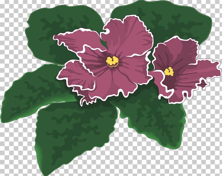 African Violets Photography PNG, Clipart, African Violets, Annual Plant, Banco De Imagens, Flower, Flowering Plant Free PNG Download