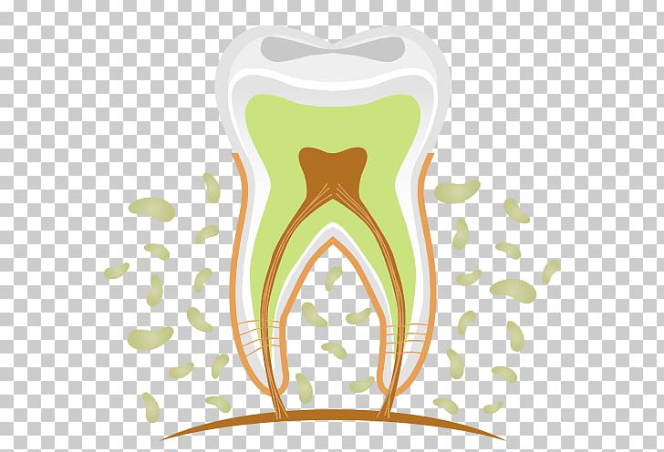 Dentistry Human Tooth Pulp PNG, Clipart, Anatomy, Anatomy Vector, Baby Teeth, Bleeding, Cartoon Free PNG Download