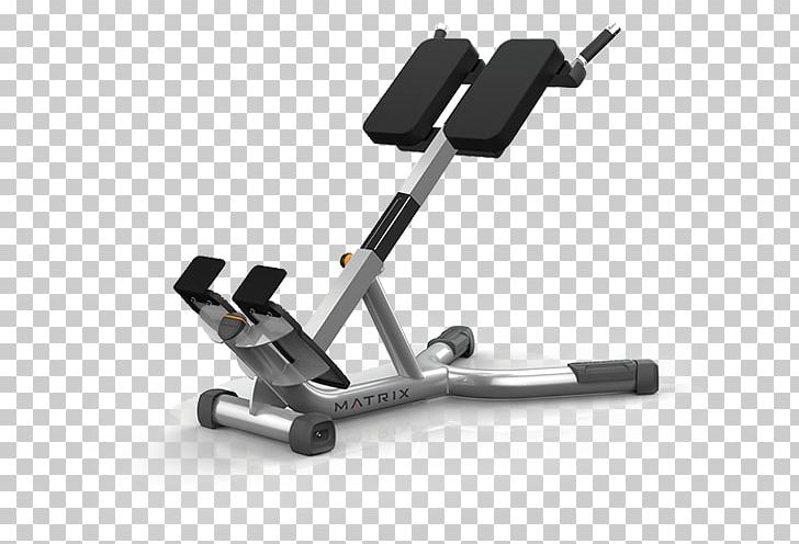 Exercise Machine Hyperextension Fitness Centre Physical Fitness Barbell PNG, Clipart, Artikel, Barbell, Bench, Dip Bar, Dumbbell Free PNG Download