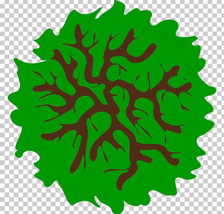 Tree PNG, Clipart, Computer Icons, Desktop Wallpaper, Download, Grass, Green Free PNG Download
