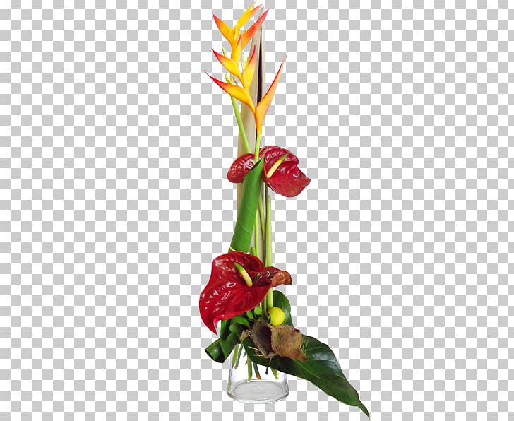 Floral Design Cut Flowers Flower Bouquet Indian Shot PNG, Clipart, Canna, Canna Family, Canna Lily, Cut Flowers, Flora Free PNG Download