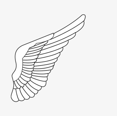 Wing PNG, Clipart, Animals, Animals Wings, Wing, Wing Clipart, Wings Free PNG Download