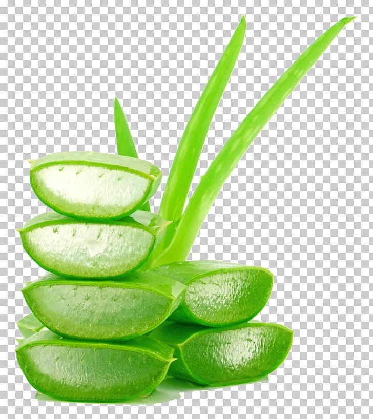 Aloe Vera Juice Lotion Gel Cream PNG, Clipart, Aloe, Alternative Medicine, Beauty, Chemical Substance, Creativ Free PNG Download