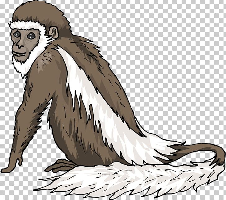 Chimpanzee Monkey Primate PNG, Clipart, Beak, Bird, Bird Of Prey, Blackandwhite Colobus, Blog Free PNG Download