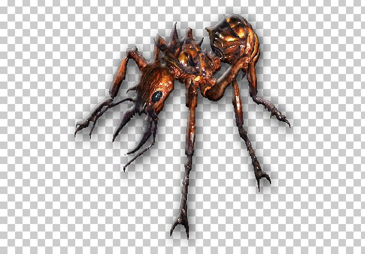Crab Insect Decapoda Pest Membrane PNG, Clipart, Animals, Animal Source Foods, Ant, Apk, Arthropod Free PNG Download