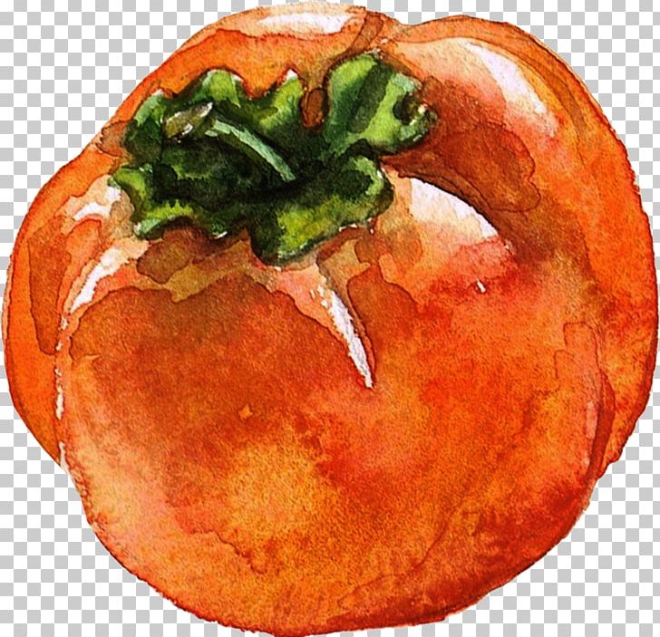 Watercolor Painting Carambola Fruit Illustration PNG, Clipart, Carambola, Dish, Food, Food Drinks, Food Spoilage Free PNG Download
