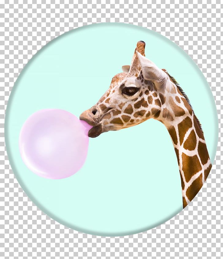 Chewing Gum Bubble Gum Mobile Phones PopSockets PNG, Clipart, Aries Apparel, Boho Skull, Bubble, Bubble Gum, Candy Free PNG Download