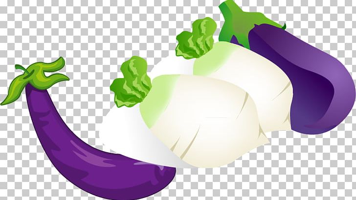 Daikon Vegetable Food Illustration PNG, Clipart, Cartoon, Computer Wallpaper, Cooking, Daikon, Eggplant Free PNG Download
