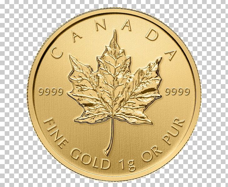 Canada Canadian Gold Maple Leaf Gold Coin PNG, Clipart, Bullion, Bullion Coin, Canada, Canadian Gold Maple Leaf, Canadian Maple Leaf Free PNG Download