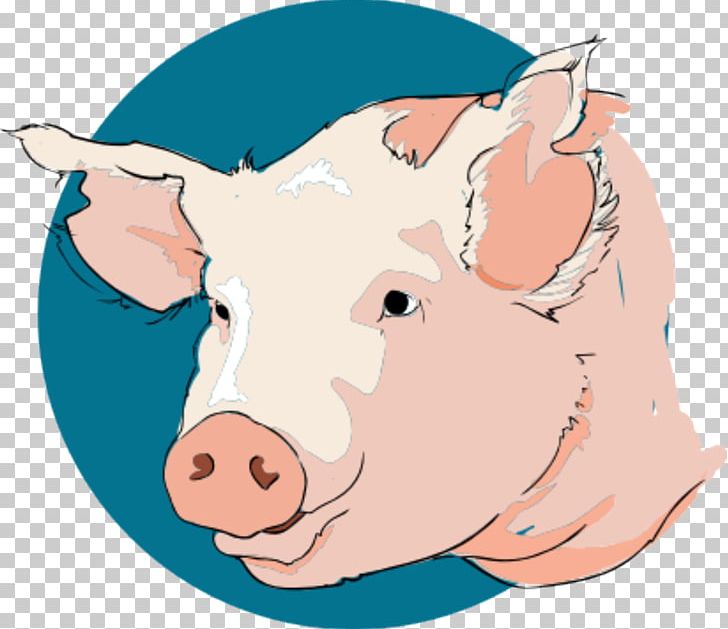 Domestic Pig Grishuvud PNG, Clipart, Animal, Artwork, Bee Line Art, Cattle Like Mammal, Document Free PNG Download