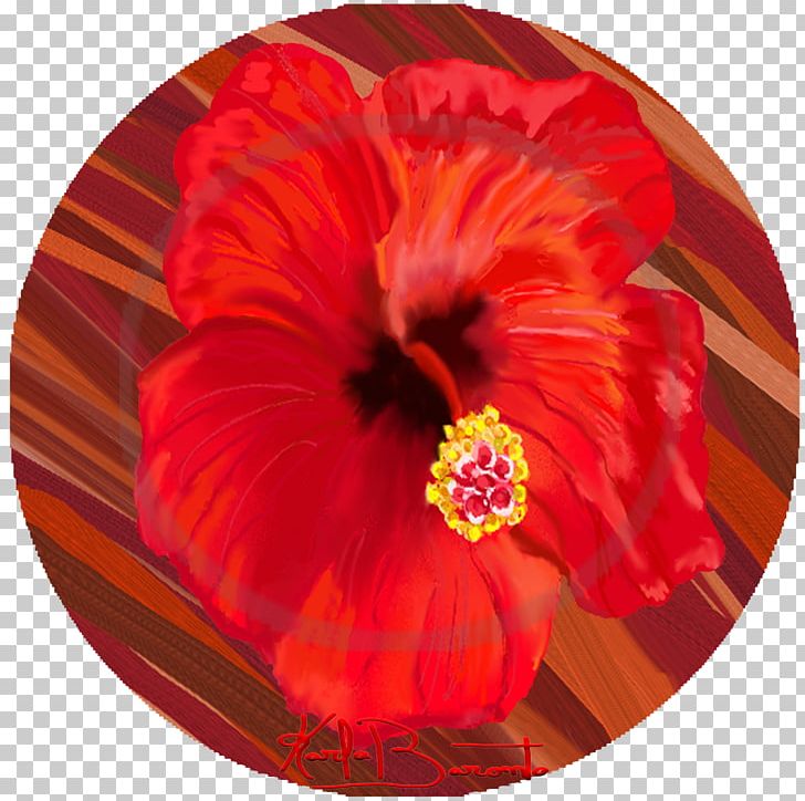 Hibiscus Chinese Cuisine Annual Plant PNG, Clipart, Annual Plant, China Rose, Chinese Cuisine, Flower, Flowering Plant Free PNG Download