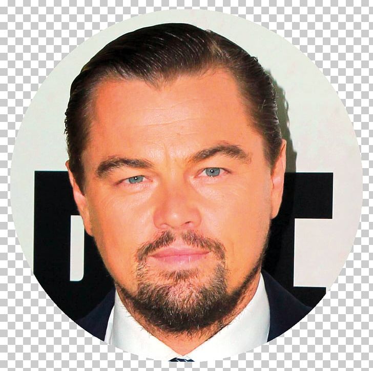 Leonardo DiCaprio Django Unchained Calvin Candie Actor Film Producer PNG, Clipart, Actor, Beard, Celebrities, Celebrity, Chin Free PNG Download