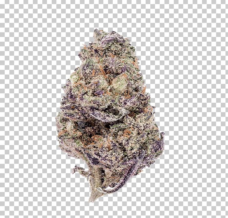 Purple Haze Cannabis Leafly Skunk PNG, Clipart, Bud, Cannabis, Cannabis Sativa, Hashish, Haze Free PNG Download