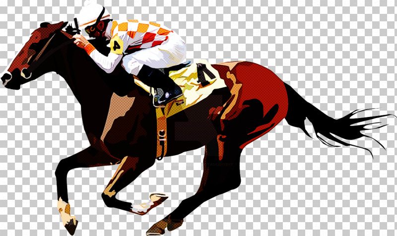 Horse Animal Sports Jockey Rein Horse Supplies PNG, Clipart, Animal Sports, Bridle, Equestrian Sport, Horse, Horse Racing Free PNG Download