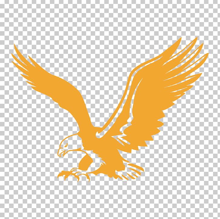 Bald Eagle Hotel Company Business Government PNG, Clipart, American Flyer, Bald Eagle, Beak, Bird, Bird Of Prey Free PNG Download