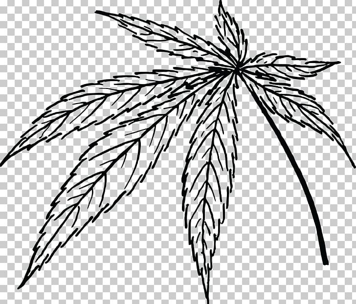 Leaf Marijuana Cannabis Sativa PNG, Clipart, Black And White, Branch, Cannabis, Cannabis Sativa, Cdr Free PNG Download