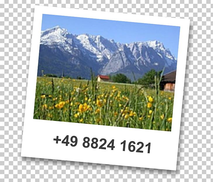 Oberau Loisach 0 Meadow Ecosystem PNG, Clipart, Annemarie, Ecosystem, Email, Energy, Flower Free PNG Download